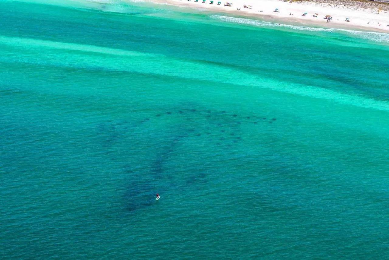 Beach Haven- Beach Pointe 703 Destin Esterno foto